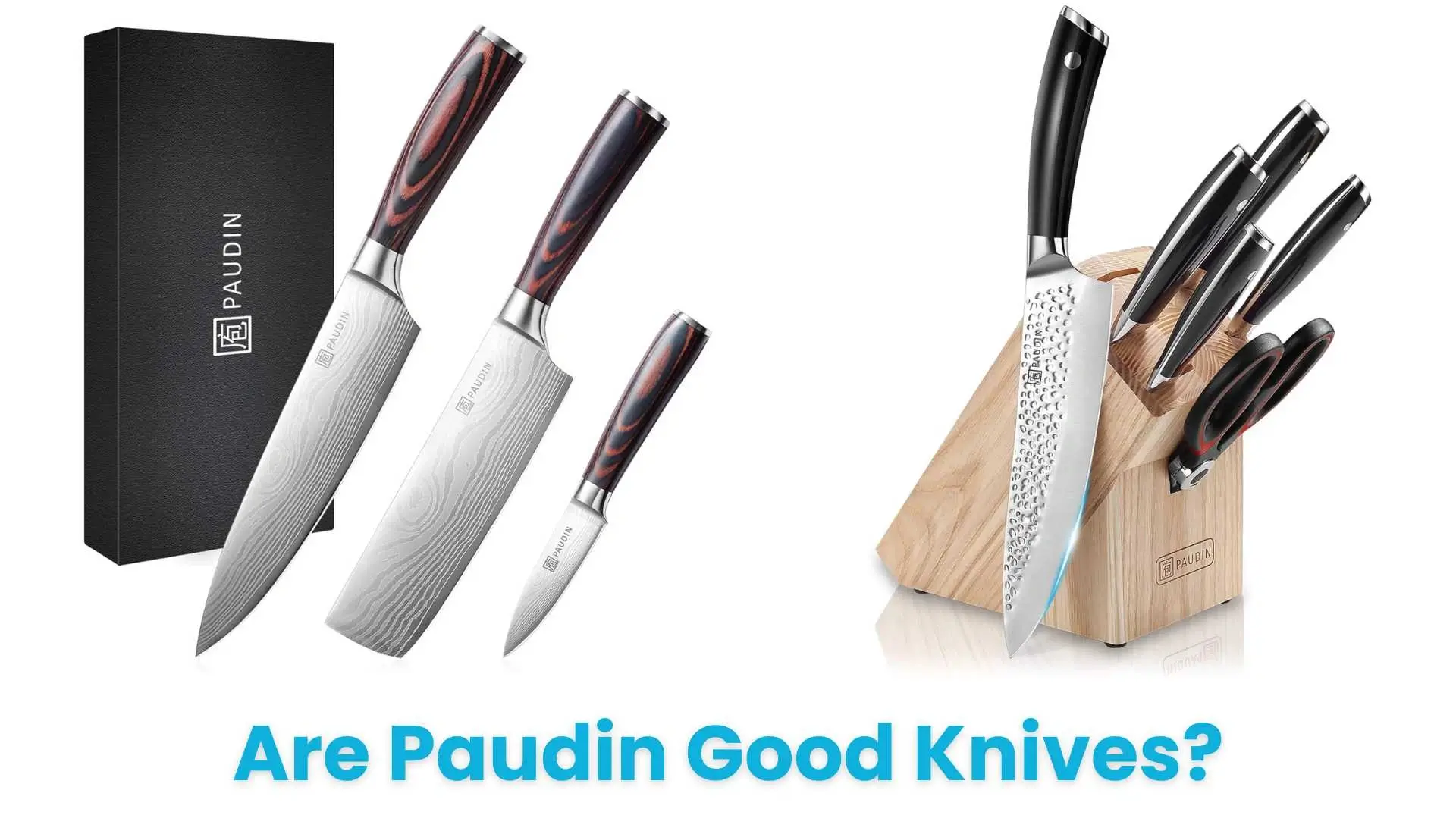 Are Paudin Good Knives